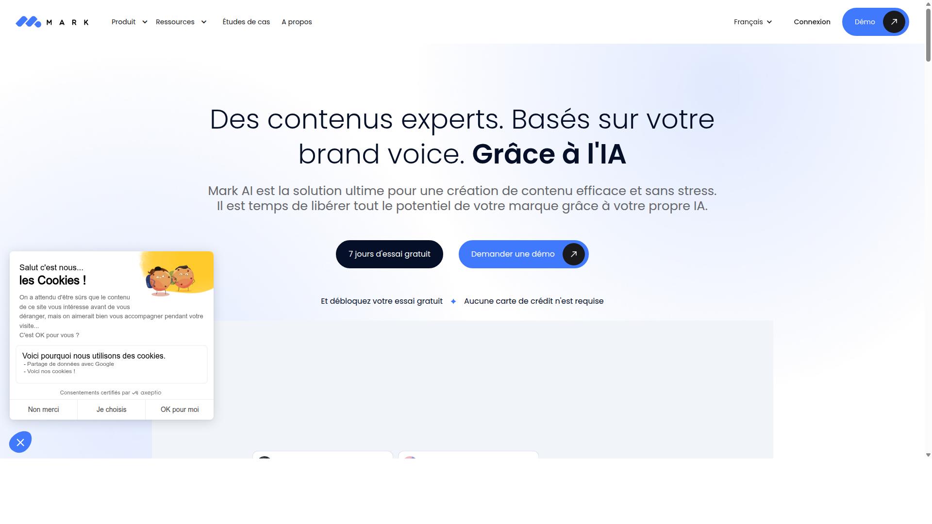 Mark Copy website